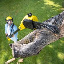 Best Tree and Shrub Care  in Syracuse, UT